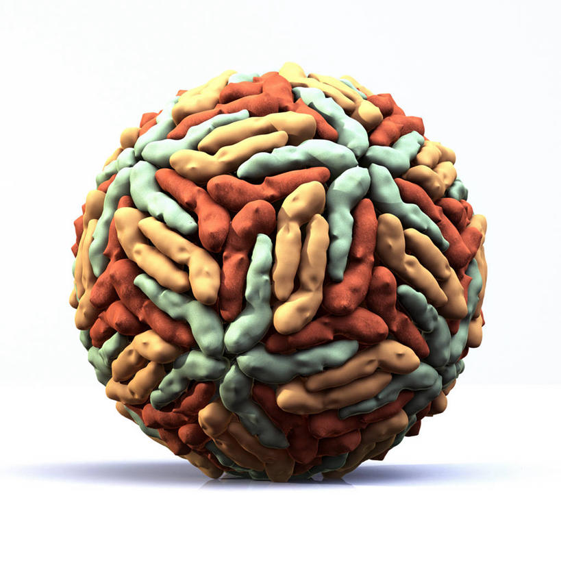 无人,方图,插画,室内,白天,白色背景,正面,数码,科技,微生物,阴影,网络,医学,图形,高光,几何,计算机图形,合成,图画,画,球体,生物,电脑合成图,数码合成图,医疗,病毒,生物学,合成图,数学,漫画,写实,具体,具象,寄生,生命体,生物病毒,彩图,几何图形,立体几何,立体图形,黄病毒,登革病毒