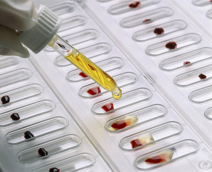 西方人,儿童,手,一个人,横图,俯视,室内,特写,白天,纯洁,实验,仪器,桌面,桌子,欧洲,欧洲人,仅一个男性,仅一个人,握,研究,透明,分析,化学,测试,滴管,实验室,研究室,拿,拿着,玻璃制品,小孩,红色,手套,仅一个小孩,手部,器皿,血液,可爱,童年,童趣,握着,单手,工作台,计量,童真,试验室,烂漫,无邪,玻璃仪器,试验耗材,实验用品,吸液管,移液管,天真,男孩,男人,男性,白种人,孩子,半身,彩图,高角度拍摄,一次性手套,实验台,实验桌,男生