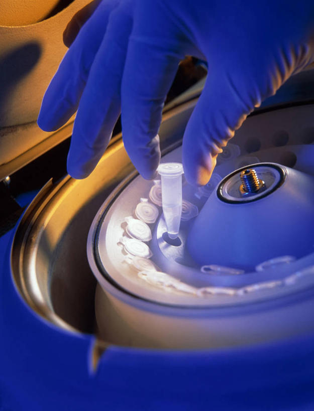 西方人,手,一个人,科学家,竖图,俯视,室内,特写,白天,机器,欧洲,欧洲人,仅一个男性,仅一个人,握,仅一个年轻男性,一个,手套,手部,机械,橡胶,握着,单个,单手,科研人员,研究者,橡胶手套,橡胶制品,离心机,科学研究者,医用手套,离心分离机,男人,男性,年轻男性,白种人,科学工作者,半身,彩图,高角度拍摄