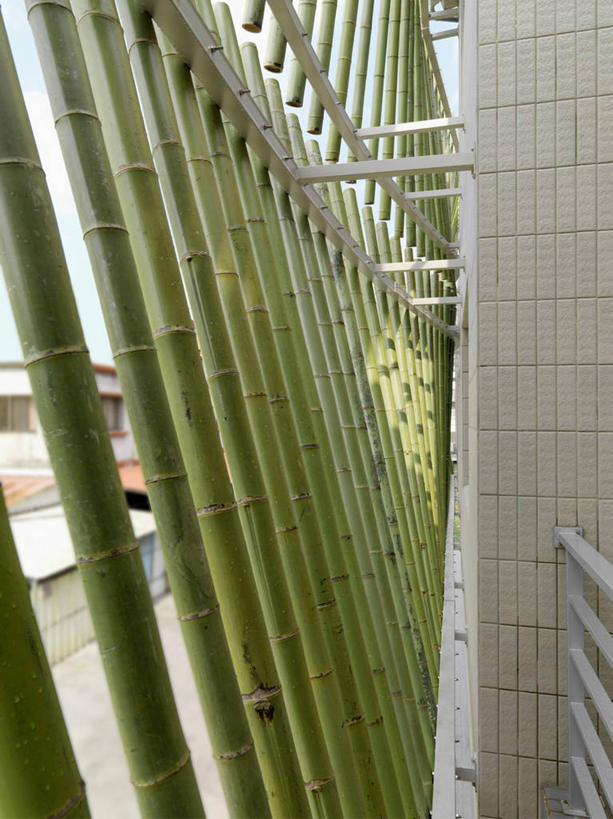 无人,家,竖图,室外,特写,白天,建筑,台湾,日光,亚洲,宜兰,设计