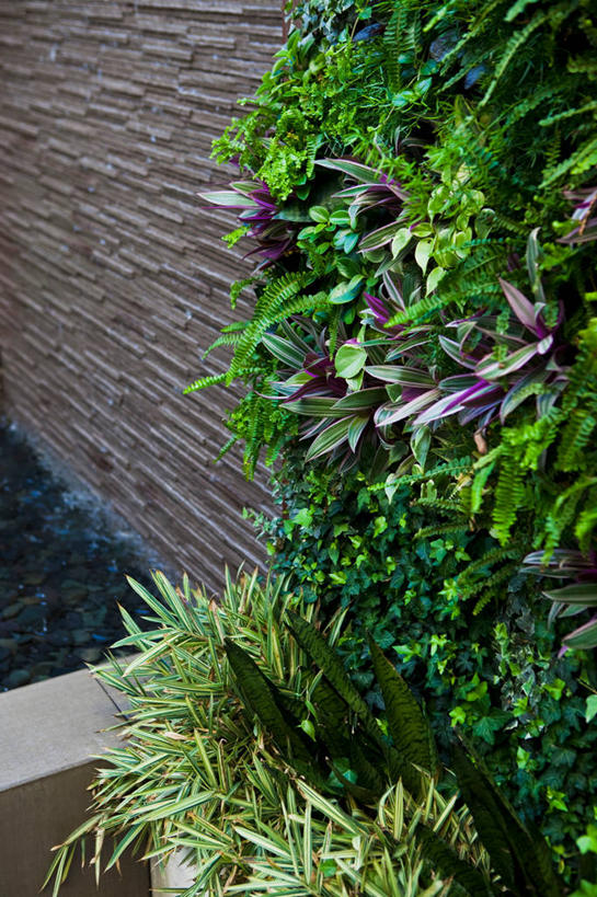 无人,竖图,室外,白天,建筑,喷泉,日光,美国,墙,地形,北美,加利福尼亚,华贵