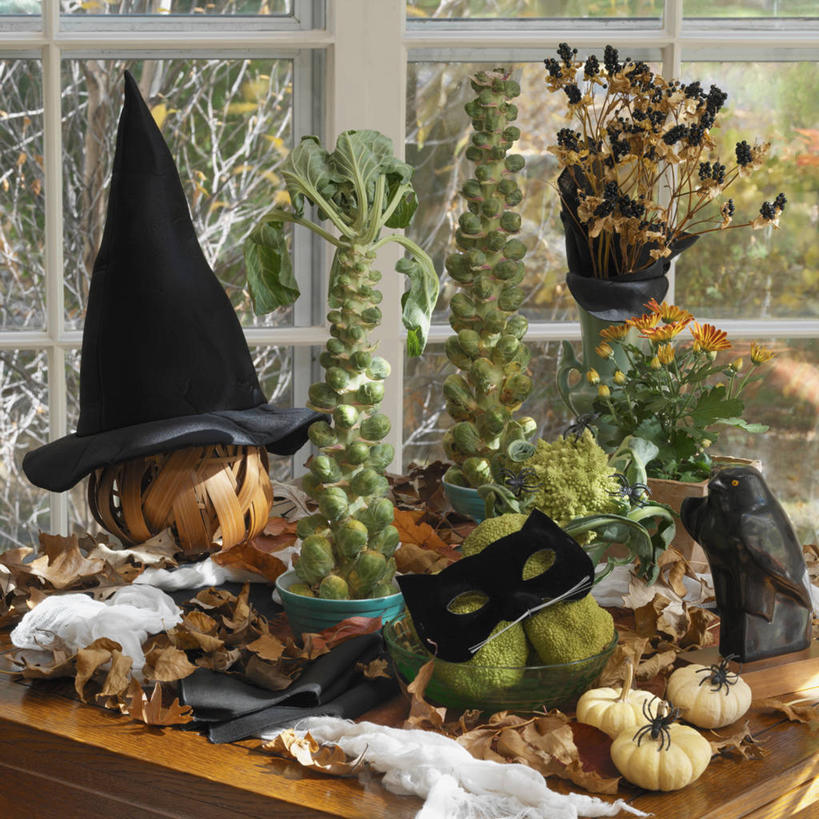 百合花,节日,纱布,万圣节,猎鹰,秋天