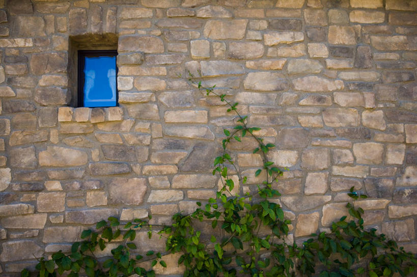 无人,横图,室外,白天,日光,美国,墙,地形,常春藤,绿色,概念,生长,北美,加利福尼亚,当代