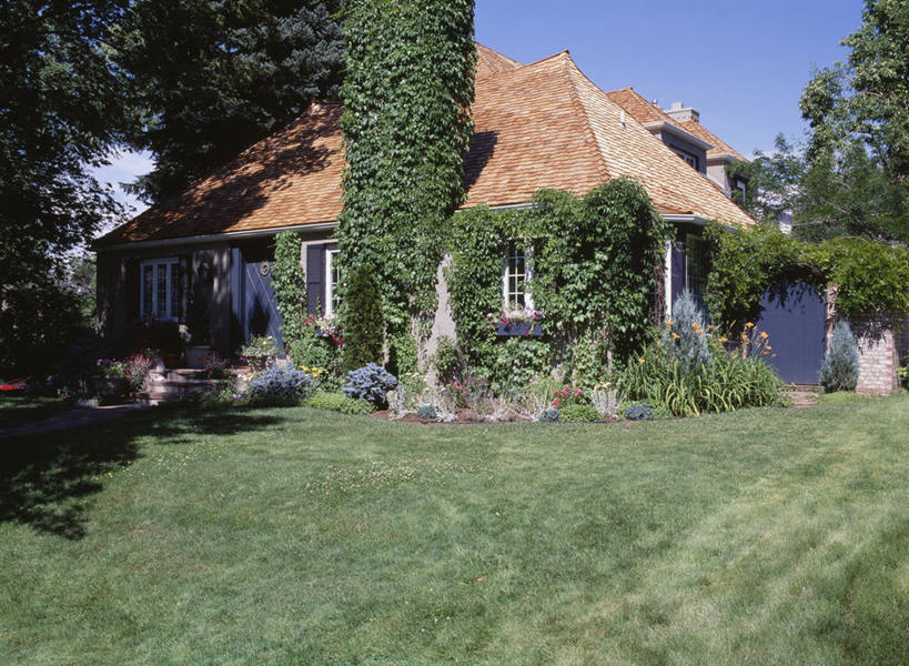 家,横图,烟囱,草坪,别墅,门,建筑,日光,关闭,房屋,屋顶,屋子,公寓,常春藤,树荫,洋房,楼房,台阶,住宅,草,蓝色,绿色,天空,封闭,房子