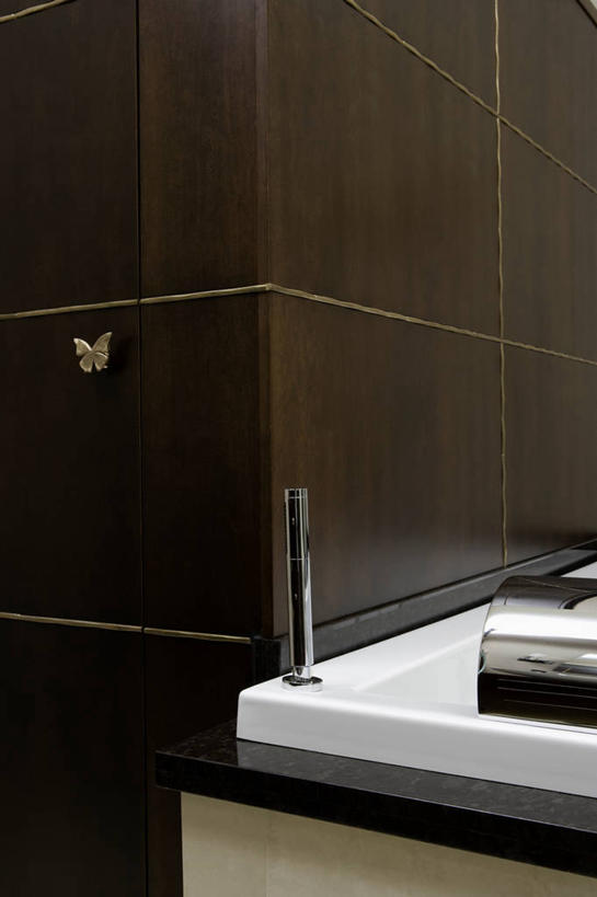 浴室,蝴蝶,瓷砖,现代,浴盆,当代