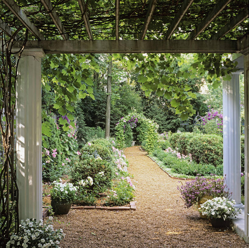 室外,葡萄,花坛,柱子,铁线莲,树荫,架子,花,树,粉色,绿色,紫色,白色,夏天,支撑,固定,沙砾,杉树,矮牵牛花,蜀葵,景观设计