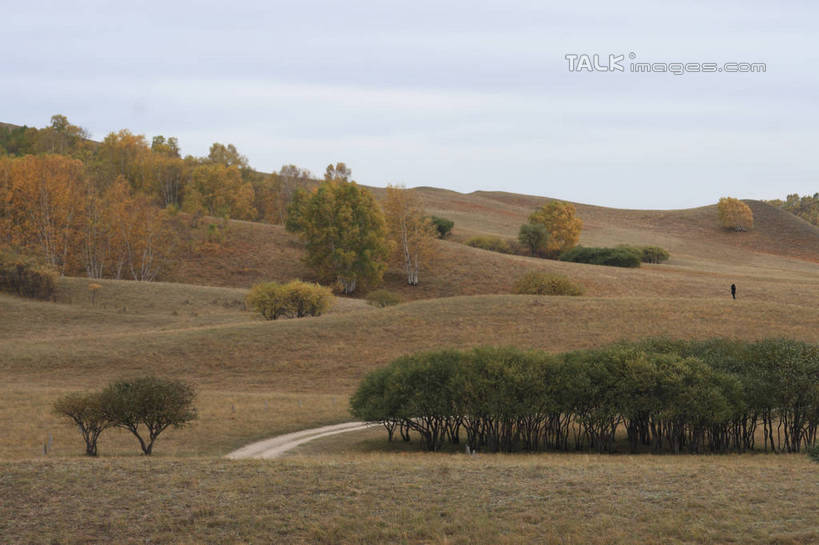 无人,横图,室外,白天,正面,旅游,度假,草地,草原,草坪,美景,植物,道路,路,坝上,中国,亚洲,阴影,光线,影子,景观,旷野,小路,辽阔,交通,娱乐,草,树,树木,绿色,阳光,自然,享受,休闲,广阔,景色,放松,生长,成长,自然风光,原野,东亚,中华人民共和国,华北地区,河北,河北省,冀,承德,承德市,广大,广宽,空阔,彩图,丰宁满族自治县,京北第一草原,bjzqp1