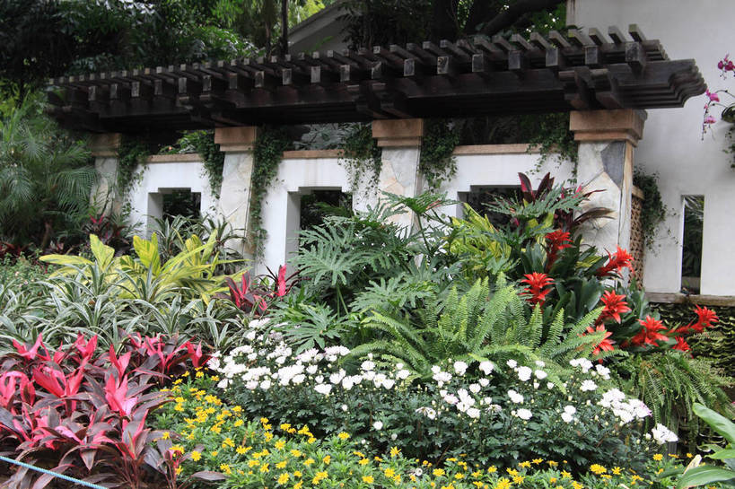 无人,公园,花园,栏杆,横图,俯视,室外,白天,旅游,度假,花海,花圃,美景,植物,门,叶子,广州,中国,亚洲,许多,盛开,墙,景观,园艺,围栏,围墙,绿叶,花蕾,娱乐,护栏,墙壁,墙面,吊兰,花,花瓣,花朵,花卉,鲜花,绿色,风景,自然,门框,花丛,花田,花苞,花蕊,享受,休闲,嫩叶,景色,放松,生长,成长,园林,风光,景物,东亚,广东,森林公园,广东省,中华人民共和国,华南地区,省会,广州市,粤,红姜花,风物,光景,景致,吊兰花,流溪河国家森林公园,叶,叶片,小花园,彩图,高角度拍摄,bjzqp1