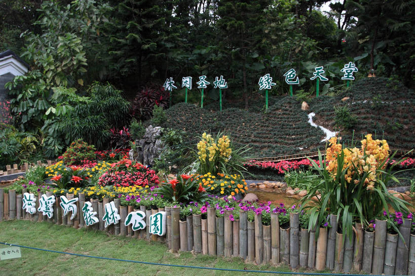 无人,公园,家,花园,横图,俯视,室外,白天,旅游,度假,草地,草坪,花海,花圃,河流,美景,树林,水,植物,叶子,广州,中国,亚洲,许多,盛开,英文,标志,文字,字符,字母,房屋,屋子,河水,景观,水流,园艺,绿叶,花蕾,娱乐,标识,楼房,住宅,草,花,花瓣,花朵,花卉,鲜花,树,树木,绿色,风景,小溪,自然,花丛,花田,溪水,花苞,花蕊,享受,休闲,嫩叶,景色,放松,生长,成长,园林,风光,英文字母,景物,东亚,广东,森林公园,广东省,中华人民共和国,华南地区,省会,广州市,粤,风物,光景,景致,流溪河国家森林公园,叶,叶片,小花园,彩图,高角度拍摄,房子,bjzqp1