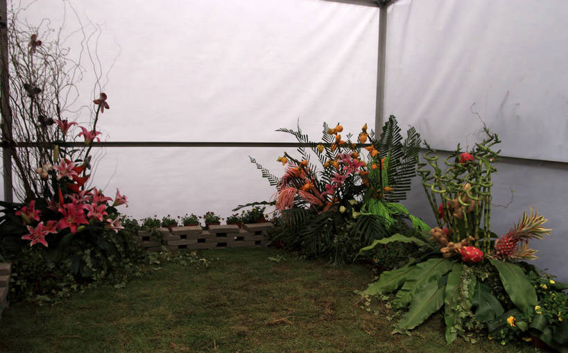 无人,花园,横图,俯视,室内,白天,旅游,度假,草地,草坪,花海,花圃,美景,植物,百合花,叶子,许多,盛开,景观,园艺,绿叶,花蕾,温室,娱乐,展品,草,花,花瓣,花朵,花卉,鲜花,红色,绿色,风景,自然,花丛,花田,花苞,花蕊,享受,休闲,嫩叶,景色,放松,生长,成长,园林,展览,风光,展厅,吉祥,景物,大棚,富贵,保温,强瞿,吉利,富贵竹,开运竹,辛氏龙树,竹蕉,红姜花,风物,光景,景致,平安,百合蒜,倒仙,番韭,山丹,叶,叶片,小花园,彩图,高角度拍摄,bjzqp1