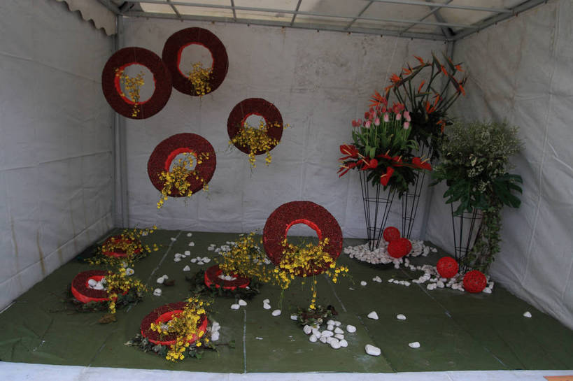 无人,花园,横图,室内,白天,正面,爱情,旅游,度假,幸福,纯洁,智慧,热情,花海,花圃,石头,美景,植物,鹤望兰,玫瑰,叶子,许多,艺术,装饰,盛开,花环,石子,景观,园艺,火鹤花,绿叶,安祖花,玫瑰花,浪漫,花蕾,温室,文化,娱乐,展品,架子,花,花瓣,花朵,花卉,鲜花,绿色,风景,自然,插花,花丛,花田,花苞,花蕊,享受,休闲,温暖,温馨,嫩叶,景色,恩爱,放松,生长,成长,园林,展览,风光,展厅,华丽,修饰,插花艺术,红掌,花烛,点缀,和睦,景物,创造,高雅,大棚,清新,创作,感动,保温,想象,衬托,美观,雅致,雅观,红鹤芋,猪尾花,烛台花,蜡烛花,尊敬,大展宏图,热血,风物,光景,景致,天真,刺玫花,极乐鸟花,徘徊花,天堂鸟,叶,叶片,石块,小花园,彩图,融洽,bjzqp1