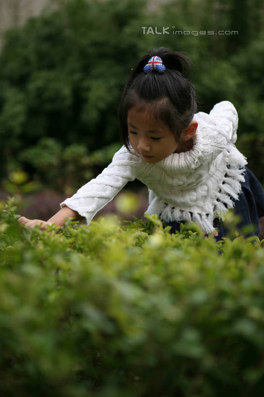 东方人,儿童,一个人,高楼大厦,站,举,竖图,室外,白天,正面,毛衣,纯洁,植物,大厦,建筑,摩天大楼,亚洲,仅一个女性,仅一个人,弯腰,朦胧,模糊,黄种人,树,树木,小孩,绿色,白色,自然,托,站着,仅一个小孩,可爱,童年,童趣,生长,成长,童真,烂漫,无邪,弯身,天真,女孩,女人,女性,亚洲人,孩子,举起,举手,举着,向上举,向上伸,向上托,站立,半身,彩图,绒衣,套衫,套头毛衣,线衣,大楼,高层建筑,高楼,摩天楼,女生,hascy1