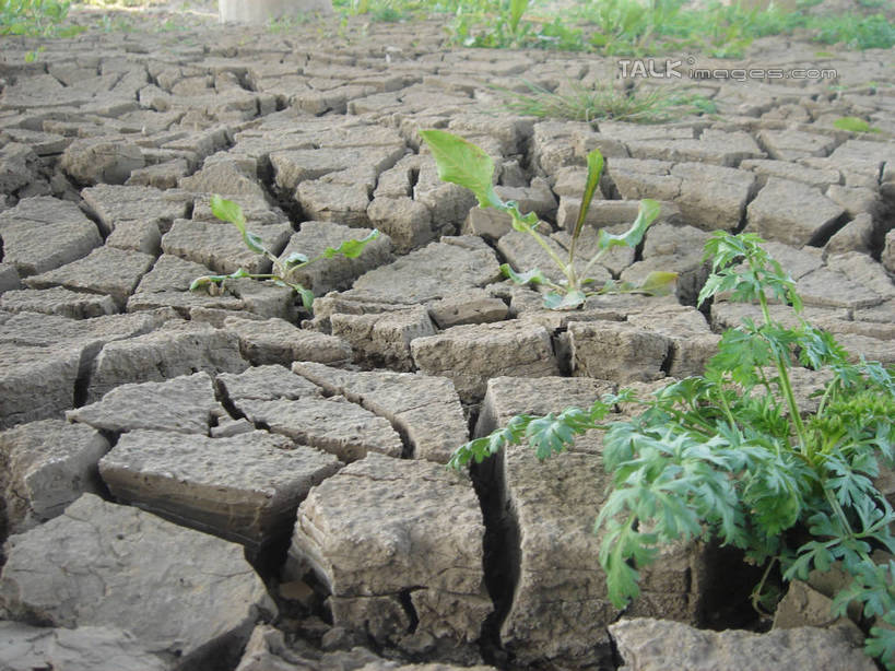 无人,农田,横图,俯视,室外,白天,庄稼,农作物,草地,植物,阴影,环保,干枯,光线,影子,泥土,沟渠,自然灾害,野草,草,绿色,阳光,自然,能源,生机,希望,生态,回收,干涸,资源,干旱,灾难,沟壑,利用,低碳,循环,枯竭,持续,灾祸,彩图,高角度拍摄,耕地,庄稼田,灾害,hascy1