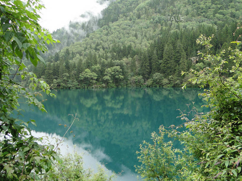 无人,横图,室外,白天,正面,旅游,度假,河流,美景,山,山脉,树林,水,植物,九寨沟,中国,亚洲,河水,景观,山峰,水流,山峦,娱乐,树,树木,绿色,倒影,天空,自然,群山,天,享受,休闲,景色,放松,四川省,生长,成长,波光粼粼,倒映,自然风光,东亚,四川,阿坝,中华人民共和国,西南地区,阿坝藏族羌族自治州,阿坝州,川,九寨沟县,反照,彩图,九寨沟风景区,四川九寨沟风景名胜区,hascy1