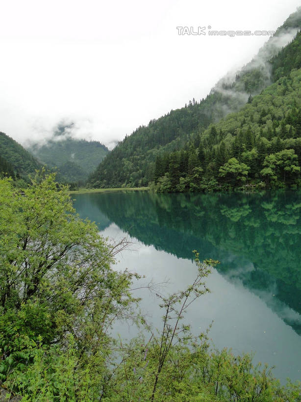 无人,竖图,室外,白天,正面,旅游,度假,河流,美景,山,山脉,树林,水,植物,九寨沟,中国,亚洲,河水,景观,山峰,水流,山峦,娱乐,树,树木,绿色,倒影,天空,自然,群山,天,享受,休闲,景色,放松,四川省,生长,成长,波光粼粼,倒映,自然风光,东亚,四川,阿坝,中华人民共和国,西南地区,阿坝藏族羌族自治州,阿坝州,川,九寨沟县,反照,彩图,九寨沟风景区,四川九寨沟风景名胜区,hascy1