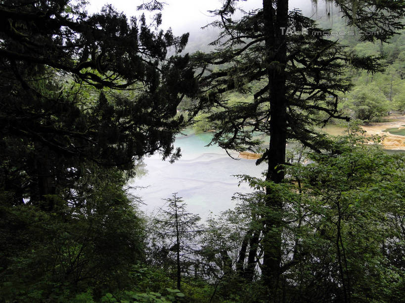 无人,横图,室外,白天,正面,旅游,度假,美景,森林,山,山脉,树林,植物,九寨沟,中国,亚洲,清澈,景观,山峰,山峦,娱乐,树,树木,绿色,倒影,自然,群山,享受,休闲,景色,放松,四川省,生长,成长,波光粼粼,倒映,自然风光,东亚,四川,阿坝,中华人民共和国,西南地区,阿坝藏族羌族自治州,阿坝州,川,九寨沟县,五彩池,反照,彩图,九寨沟风景区,四川九寨沟风景名胜区,hascy1