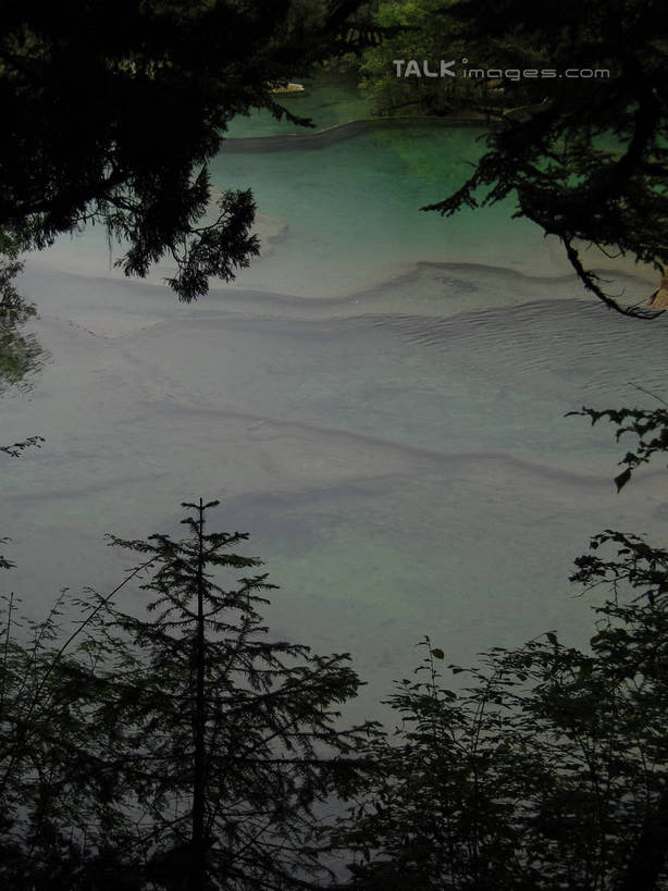 无人,竖图,俯视,室外,白天,旅游,度假,美景,森林,山,山脉,树林,植物,九寨沟,中国,亚洲,清澈,景观,山峰,山峦,娱乐,树,树木,绿色,倒影,自然,群山,享受,休闲,景色,放松,四川省,生长,成长,波光粼粼,倒映,自然风光,东亚,四川,阿坝,中华人民共和国,西南地区,阿坝藏族羌族自治州,阿坝州,川,九寨沟县,五彩池,反照,彩图,高角度拍摄,九寨沟风景区,四川九寨沟风景名胜区,hascy1