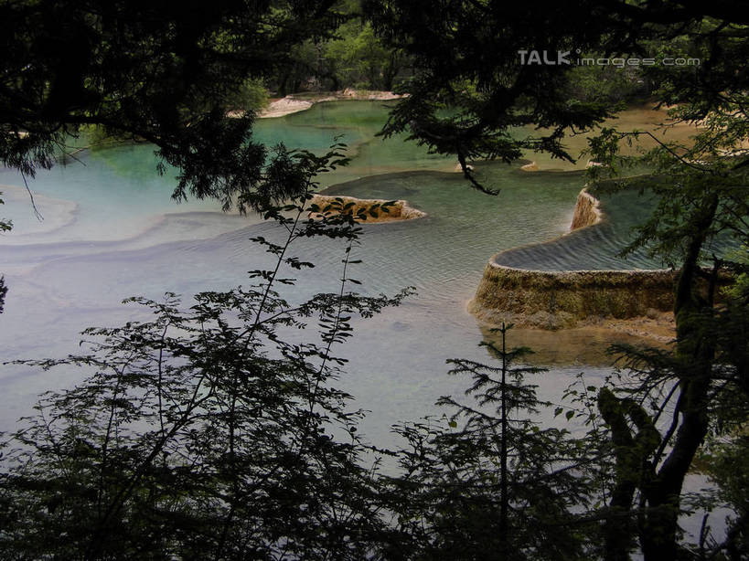 无人,横图,俯视,室外,白天,旅游,度假,美景,森林,山,山脉,树林,植物,九寨沟,中国,亚洲,清澈,景观,山峰,山峦,娱乐,树,树木,绿色,倒影,自然,群山,享受,休闲,景色,放松,四川省,生长,成长,波光粼粼,倒映,自然风光,东亚,四川,阿坝,中华人民共和国,西南地区,阿坝藏族羌族自治州,阿坝州,川,九寨沟县,五彩池,反照,彩图,高角度拍摄,九寨沟风景区,四川九寨沟风景名胜区,hascy1