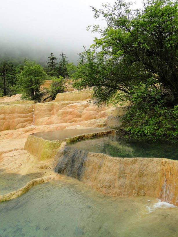 无人,竖图,室外,白天,正面,旅游,度假,石头,美景,森林,山,山脉,树林,植物,九寨沟,中国,亚洲,清澈,景观,山峰,山峦,娱乐,树,树木,绿色,倒影,自然,群山,享受,休闲,景色,放松,四川省,生长,成长,波光粼粼,倒映,自然风光,东亚,四川,阿坝,中华人民共和国,西南地区,阿坝藏族羌族自治州,阿坝州,川,九寨沟县,五彩池,反照,岩石,彩图,九寨沟风景区,四川九寨沟风景名胜区,hascy1