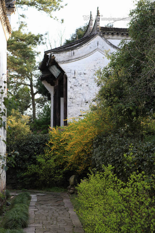 无人,家,竖图,室外,白天,正面,旅游,度假,黄山,石头,名胜古迹,植物,标志建筑,道路,地标,建筑,路,中国,亚洲,许多,阴影,遗迹,光线,石子,瓦片,影子,房屋,墙,屋檐,屋子,小路,地面,交通,古迹,文化,文物,娱乐,建设,古建筑,楼房,檐,民居,民宅,墙壁,墙面,石板路,住宅,树,树木,排列,蓝色,绿色,蓝天,天空,阳光,自然,天,享受,休闲,旅游胜地,放松,生长,晴朗,成长,队列,古文明,东亚,安徽,安徽省,黄山市,万里无云,中华人民共和国,华东地区,皖,潜口,石块,晴空,晴空万里,彩图,房子,传统文化,rzwdb1