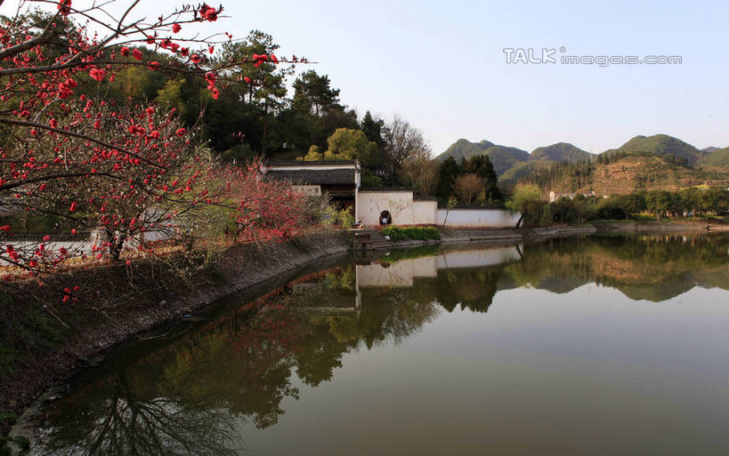 无人,家,横图,室外,白天,正面,旅游,度假,黄山,河流,名胜古迹,山,水,植物,标志建筑,地标,建筑,中国,亚洲,阴影,遗迹,盛开,光线,影子,房屋,墙,屋子,河水,山峰,水流,地面,山峦,花蕾,古迹,文化,文物,娱乐,建设,古建筑,楼房,民居,民宅,墙壁,墙面,住宅,花,花瓣,花朵,鲜花,树,树木,红色,蓝色,绿色,倒影,蓝天,天空,阳光,自然,天,花苞,花蕊,享受,休闲,旅游胜地,放松,生长,晴朗,成长,倒映,古文明,东亚,安徽,安徽省,黄山市,万里无云,中华人民共和国,华东地区,皖,反照,潜口,晴空,晴空万里,彩图,房子,传统文化,rzwdb1