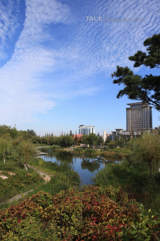 无人,公园,高楼大厦,竖图,室外,白天,正面,度假,草地,草坪,湖,湖泊,美景,水,植物,城市风光,城市,大厦,道路,建筑,路,摩天大楼,中国,亚洲,阴影,弯曲,光线,影子,湖面,景观,水流,水面,云,云朵,小路,交通,云彩,娱乐,山东,草,树,树木,蓝色,绿色,白云,蓝天,天空,阳光,自然,湖水,天,享受,休闲,景色,放松,蜿蜒,生长,晴朗,成长,东亚,山东省,日照,中华人民共和国,华东地区,鲁,日照市,银河公园,晴空,彩图,大楼,高层建筑,高楼,摩天楼,rzwdb1