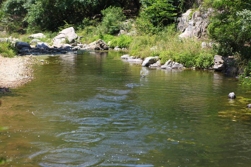 无人,横图,俯视,室外,白天,旅游,度假,草地,草坪,河流,石头,美景,山,水,中国,亚洲,石子,河水,景观,山峰,水流,山峦,娱乐,山东,草,自然,享受,休闲,景色,放松,波光粼粼,自然风光,东亚,山东省,日照,中华人民共和国,华东地区,鲁,日照市,五莲山,五莲山风景名胜区,五莲县,石块,彩图,高角度拍摄,rzwdb1
