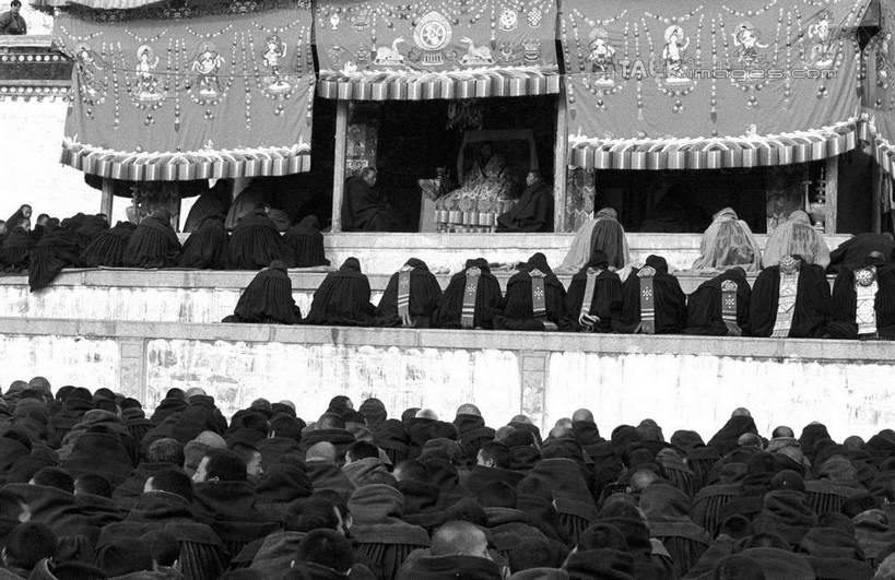 东方人,和尚,寺庙,坐,竖图,黑白,室外,白天,正面,民族服装,旅游,度假,名胜古迹,标志建筑,地标,建筑,中国,亚洲,服装,节日,遗迹,许多人,燃烧,黄种人,古迹,文化,文物,娱乐,建设,古建筑,衣服,香火,庙宇,祈祷,一群人,享受,休闲,健康,旅游胜地,放松,许愿,宗教,服饰,信仰,纪念,祈求,衣着,穿着,古文明,东亚,甘肃,甘肃省,夏河县,拉卜楞寺,中华人民共和国,西北地区,甘,衣饰,夏河,平安,男人,男性,年轻男性,中年男性,亚洲人,比丘,高僧,僧,僧侣,僧人,沙弥,修行僧,坐着,半身,传统服装,民俗服,庙,寺,shcm1