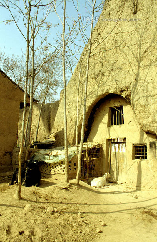 无人,家,竖图,室外,白天,仰视,旅游,度假,美景,植物,中国,亚洲,阴影,光线,影子,房屋,墙,屋子,景观,娱乐,楼房,墙壁,墙面,住宅,树,树木,蓝色,绿色,蓝天,天空,阳光,自然,天,享受,休闲,景色,放松,生长,晴朗,成长,自然风光,东亚,陕西,陕西省,陇县,宝鸡市,万里无云,中华人民共和国,西北地区,陕,宝鸡,晴空,晴空万里,彩图,低角度拍摄,房子,shcm1