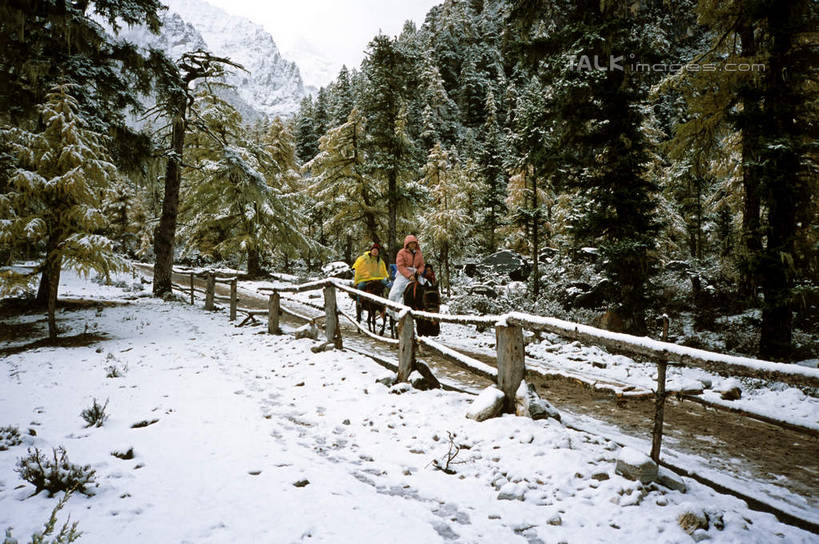 东方人,三个人,栏杆,走,横图,室外,白天,正面,旅游,度假,美景,森林,山,树林,雪,雪山,植物,大雪,道路,路,中国,亚洲,行人,游客,游人,服装,冰,积雪,景观,山峰,雪景,冬季,冬天,围栏,小路,交通,山峦,休闲装,黄种人,娱乐,护栏,路人,旅客,树,树木,衣服,绿色,自然,享受,休闲,休闲服,景色,放松,寒冷,服饰,四川省,乡间小路,生长,成长,冰冷,自然风光,东亚,四川,稻城,亚丁,甘孜藏族自治州,中华人民共和国,西南地区,严寒,川,甘孜,甘孜州,冰凉,酷寒,凛冽,凛凛,极冷,过客,男人,男性,年轻男性,年轻女性,女人,女性,亚洲人,步行,散步,走路,彩图,全身,稻城县,稻城亚丁,亚丁风景区,shcm1