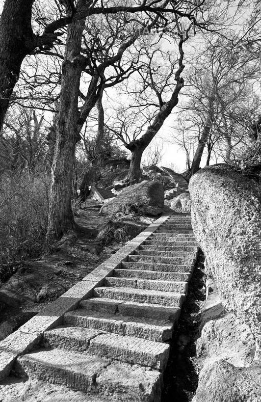 无人,寺庙,竖图,黑白,室外,白天,仰视,旅游,度假,石头,名胜古迹,植物,楼梯,标志建筑,地标,建筑,孔庙,中国,亚洲,阴影,节日,遗迹,光线,石子,影子,阶梯,燃烧,古迹,文化,文物,娱乐,建设,古建筑,山东,台阶,树,树木,阳光,自然,香火,庙宇,祈祷,享受,休闲,健康,旅游胜地,放松,许愿,宗教,信仰,生长,成长,纪念,祈求,古文明,东亚,曲阜,曲阜市,山东省,中华人民共和国,华东地区,鲁,平安,石块,岩石,低角度拍摄,庙,寺,本庙,shcm1