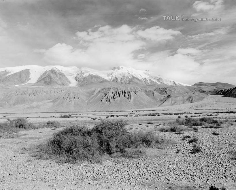 无人,横图,黑白,室外,白天,正面,旅游,度假,美景,沙漠,山,山脉,植物,中国,亚洲,景观,山峰,云,云朵,山峦,云彩,娱乐,树,树木,白云,天空,自然,群山,天,享受,休闲,景色,放松,生长,晴朗,成长,自然风光,东亚,新疆,帕米尔高原,中华人民共和国,新疆维吾尔自治区,西北地区,大漠,砂漠,晴空,新,shcm1