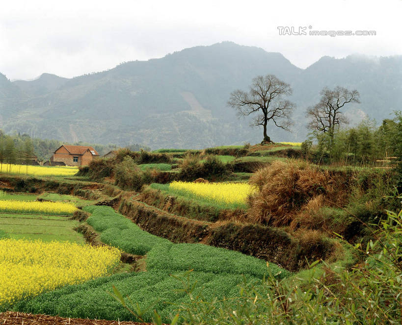 无人,家,农田,横图,室外,白天,正面,旅游,度假,庄稼,农作物,草地,草坪,美景,山,山脉,植物,中国,亚洲,房屋,屋子,景观,山峰,山峦,娱乐,临安,浙江,楼房,住宅,草,树,树木,浙江省,绿色,天空,自然,群山,天,享受,休闲,景色,放松,生长,成长,自然风光,东亚,中华人民共和国,华东地区,浙,彩图,耕地,庄稼田,房子,临安市,龙岗镇,shcm1