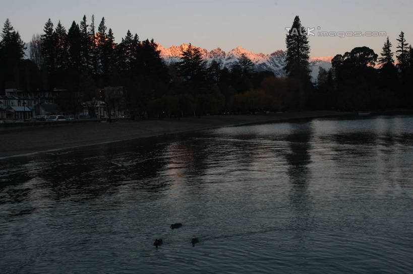 游泳,无人,横图,室外,白天,正面,旅游,度假,草地,草坪,湖,湖泊,美景,山,树林,水,雪,雪山,植物,大雪,鸟,三只,波纹,鸟类,鸭,冰,湖面,积雪,景观,山峰,水流,水面,雪景,冬季,冬天,涟漪,山峦,注视,娱乐,家禽,草,树,树木,绿色,水纹,天空,自然,动物,波浪,湖水,天,观察,看,享受,休闲,景色,放松,寒冷,牲畜,生长,成长,观看,察看,冰冷,关注,自然风光,水晕,严寒,冰凉,酷寒,凛冽,凛凛,极冷,泅水,拍浮,彩图,全身,shgzq1