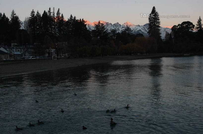 游泳,无人,横图,室外,白天,正面,旅游,度假,草地,草坪,湖,湖泊,美景,山,树林,水,雪,雪山,植物,大雪,鸟,三只,波纹,鸟类,鸭,冰,湖面,积雪,景观,山峰,水流,水面,雪景,冬季,冬天,涟漪,山峦,注视,娱乐,家禽,草,树,树木,绿色,水纹,天空,自然,动物,波浪,湖水,天,观察,看,享受,休闲,景色,放松,寒冷,牲畜,生长,成长,观看,察看,冰冷,关注,自然风光,水晕,严寒,冰凉,酷寒,凛冽,凛凛,极冷,泅水,拍浮,彩图,全身,shgzq1