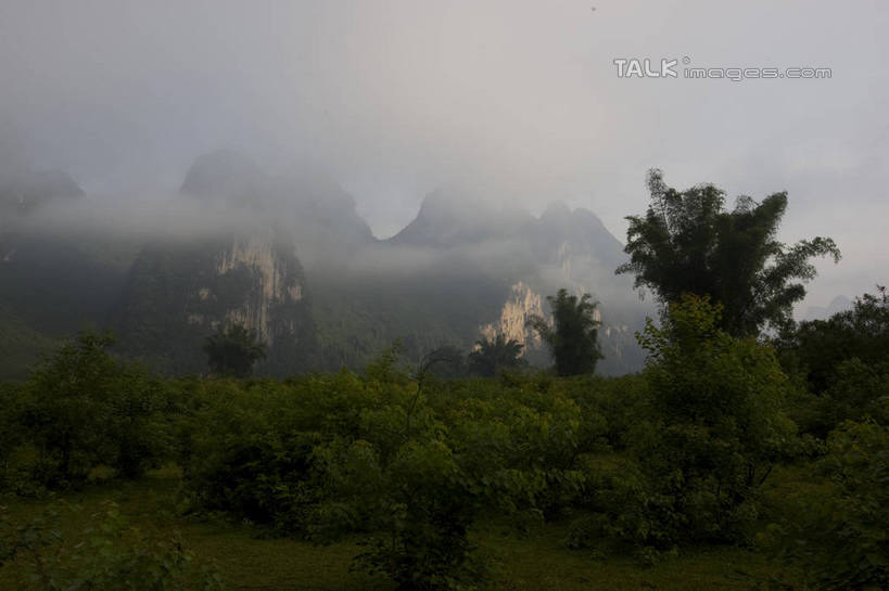 无人,横图,室外,白天,正面,旅游,度假,草地,草坪,美景,山,山脉,树林,植物,雾,桂林,中国,亚洲,朦胧,模糊,景观,山峰,山峦,娱乐,草,树,树木,绿色,自然,群山,享受,休闲,景色,放松,生长,成长,广西,迷雾,自然风光,东亚,漓江,阳朔,广西壮族自治区,中华人民共和国,桂林市,桂,华南地区,阳朔县,大雾,彩图,shgzq1