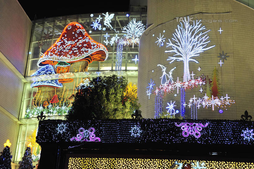 无人,商店,横图,室外,夜晚,仰视,购物,旅游,度假,消费,植物,窗户,落地窗,标志建筑,超市,地标,建筑,商场,夜景,上海,中国,亚洲,阴影,光线,影子,灯光,枝条,娱乐,建设,玻璃窗,树,树木,树枝,绿色,自然,享受,休闲,旅游胜地,放松,金融,百货,生长,成长,申,选购,贸易,百货公司,东亚,上海市,中华人民共和国,沪,华东地区,血拼,虬枝,枝杈,彩图,低角度拍摄,购物商场,购物中心,商业中心,shlbh1