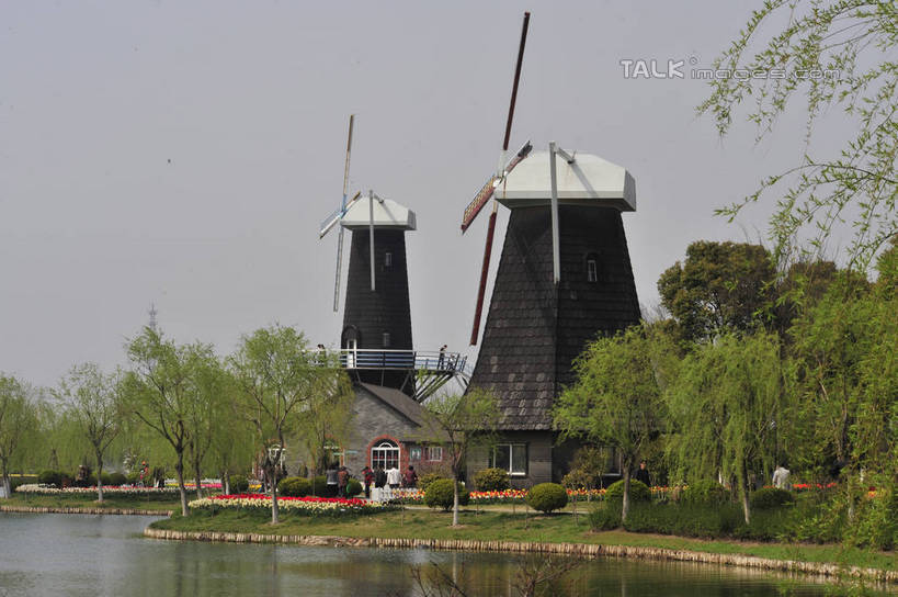 无人,横图,室外,白天,正面,爱情,旅游,度假,草地,草坪,花海,花圃,美景,树林,植物,郁金香,叶子,上海,中国,亚洲,阴影,盛开,光线,影子,景观,祝福,花蕾,娱乐,浦东,草,花,花瓣,花朵,花卉,鲜花,树,树木,蓝色,绿色,蓝天,天空,阳光,自然,花丛,花束,花田,天,花苞,花蕊,享受,休闲,景色,放松,生长,晴朗,成长,申,表白,自然风光,荣誉,浦东新区,东亚,上海市,上海鲜花港,龙阳路,万里无云,中华人民共和国,沪,华东地区,永恒,晴空,晴空万里,郁香,洋荷花,草麝香,彩图,shlbh1