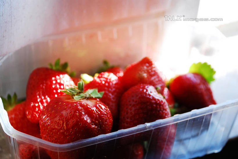 无人,横图,俯视,室内,特写,白天,草莓,浆果,水果,一堆,许多,堆叠,堆积,新鲜,塑料,生食,食品,果实,很多,盒子,食物,一个,红色,容器,塑料制品,有机食品,绿色食品,单个,储藏,堆,储存,洋莓,水果皇后,红莓,地莓,彩图,高角度拍摄,贮存,shqxy1