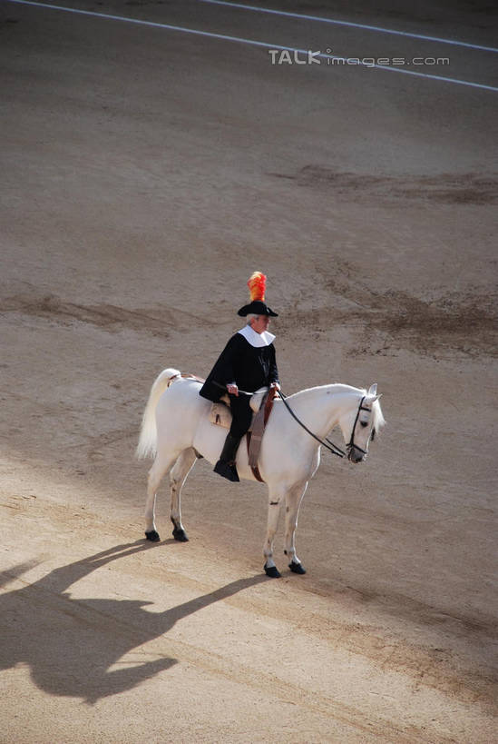 西方人,一个人,坐,竖图,俯视,室外,白天,马,野生动物,帽子,西班牙,欧洲,欧洲人,仅一个男性,仅一个人,阴影,服装,光线,头盔,影子,首都,注视,休闲装,一匹,仅一个年轻男性,衣服,阳光,动物,安全帽,观察,看,休闲,休闲服,马德里,运输,服饰,牲畜,观看,察看,关注,南欧,西班牙王国,马德里自治区,男人,男性,年轻男性,白种人,坐着,彩图,高角度拍摄,全身,马德里斗牛场,shqxy1