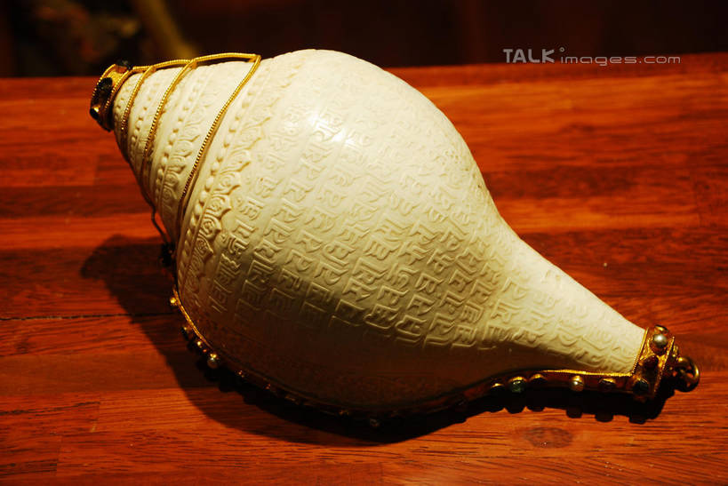 无人,博物馆,宫殿,横图,俯视,室内,特写,白天,旅游,度假,名胜古迹,标志建筑,地标,建筑,静物,布达拉宫,中国,亚洲,阴影,节日,研究,遗迹,反射,影子,建筑群,海螺,教育,古迹,文化,文物,娱乐,建设,古建筑,拉萨,西藏,海洋生物,一个,祈祷,享受,休闲,健康,旅游胜地,放松,许愿,宗教,佛教,信仰,单个,纪念,展览,软体动物,祈求,峨螺,欣赏,水生动物,水生物,藏,陈列,古文明,东亚,海底动物,西藏自治区,首府,中华人民共和国,西南地区,拉萨市,释教,典藏,第二普陀山,平安,彩图,高角度拍摄,shqxy1