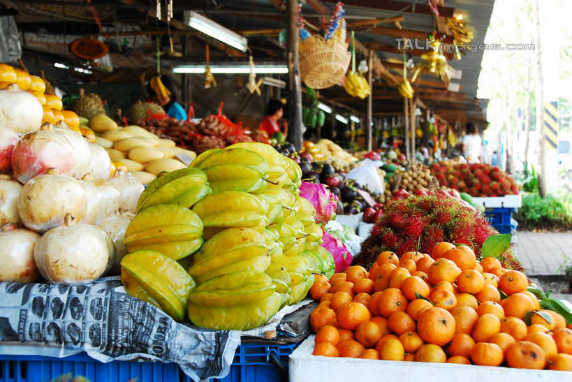 无人,横图,室外,白天,正面,购物,消费,柑橘,水果,一堆,许多,堆叠,堆积,新鲜,生食,食品,果实,集市,市场,很多,火龙果,货架,架子,食物,杨桃,青龙果,金融,有机食品,绿色食品,红毛丹,堆,五敛子,三廉子,阳桃,洋桃,陈列架,选购,贸易,韶子,毛龙眼,毛荔枝,柑桔,橘子,桔子,彩图,大红蜜橘,大红袍,红橘,黄橘,宽皮橘,蜜橘,shqxy1