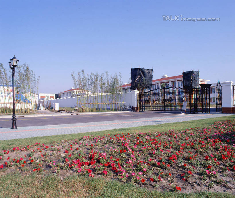 无人,家,横图,室外,白天,正面,度假,花海,花圃,美景,植物,别墅,门,城市风光,城市,路灯,哺乳动物,鹿,野生动物,叶子,照明,盛开,房屋,屋子,景观,公寓,灯光,花蕾,娱乐,洋房,楼房,住宅,灯,花,花瓣,花朵,花卉,鲜花,蓝色,绿色,蓝天,天空,动物,门框,花丛,花束,花田,天,花苞,花蕊,享受,休闲,景色,放松,晴朗,照亮,照明设备,万里无云,礁鹿,晴空,晴空万里,彩图,房子,shrj1