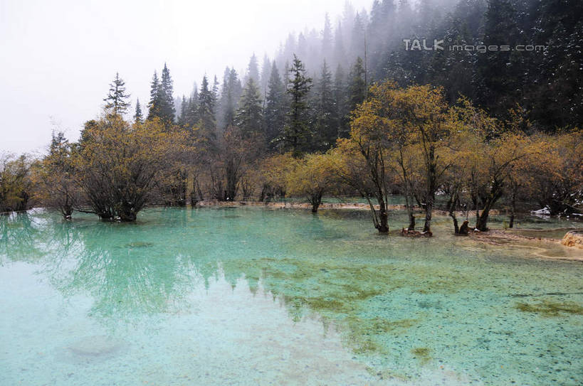 无人,横图,室外,白天,正面,旅游,度假,草地,草坪,湖,湖泊,美景,山,树林,水,植物,雾,叶子,中国,亚洲,阴影,朦胧,模糊,反射,影子,湖面,景观,山峰,水流,水面,山峦,娱乐,草,树,树木,绿色,倒影,天空,自然,湖水,天,享受,休闲,景色,放松,四川省,生长,成长,迷雾,自然风光,东亚,四川,阿坝,中华人民共和国,西南地区,阿坝藏族羌族自治州,阿坝州,川,黄龙风景名胜区,黄龙风景区,松潘县,叶,叶片,彩图,shsgf1