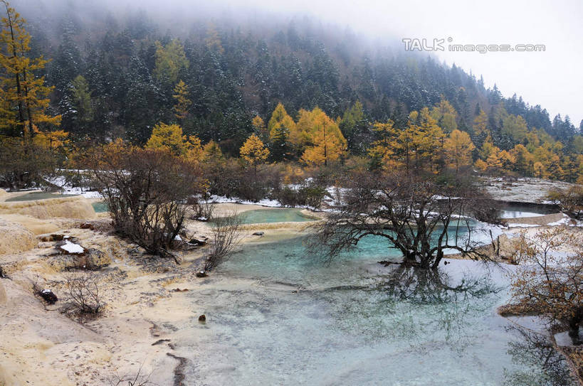无人,横图,俯视,室外,白天,旅游,度假,草地,草坪,湖,湖泊,美景,山,树林,水,雪,植物,雾,大雪,叶子,中国,亚洲,阴影,朦胧,模糊,干枯,反射,影子,湖面,积雪,景观,山峰,水流,水面,雪景,冬天,枯树,枯枝,山峦,娱乐,草,树,树木,树枝,绿色,倒影,天空,自然,湖水,天,享受,休闲,景色,放松,寒冷,四川省,生长,成长,迷雾,自然风光,东亚,四川,阿坝,中华人民共和国,西南地区,严寒,阿坝藏族羌族自治州,阿坝州,川,黄龙风景名胜区,黄龙风景区,松潘县,叶,叶片,彩图,高角度拍摄,shsgf1