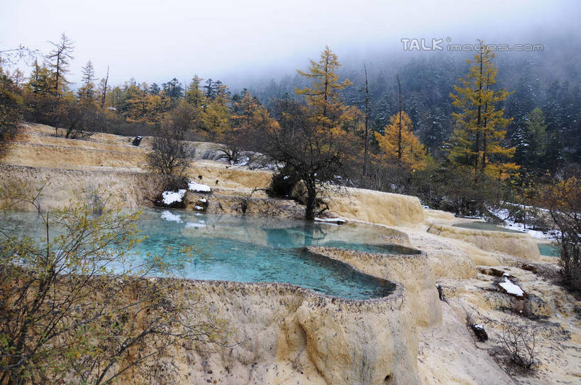 无人,横图,俯视,室外,白天,旅游,度假,草地,草坪,湖,湖泊,美景,山,树林,水,雪,植物,雾,大雪,叶子,中国,亚洲,阴影,朦胧,模糊,干枯,反射,影子,湖面,积雪,景观,山峰,水流,水面,雪景,冬天,枯树,枯枝,山峦,娱乐,草,树,树木,树枝,绿色,倒影,天空,自然,湖水,天,享受,休闲,景色,放松,寒冷,四川省,生长,成长,迷雾,自然风光,东亚,四川,阿坝,中华人民共和国,西南地区,严寒,阿坝藏族羌族自治州,阿坝州,川,黄龙风景名胜区,黄龙风景区,松潘县,叶,叶片,彩图,高角度拍摄,shsgf1