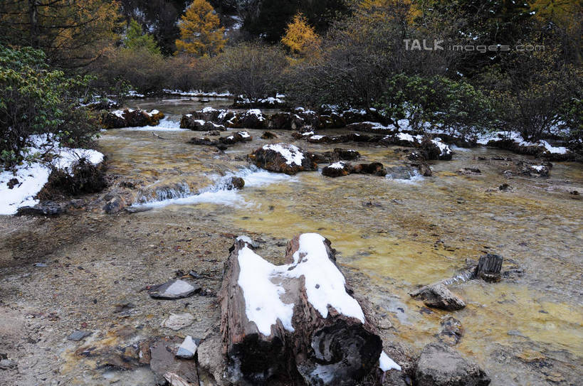 无人,横图,俯视,室外,白天,旅游,度假,草地,草坪,河流,石头,美景,山,树林,水,雪,植物,雾,大雪,叶子,中国,亚洲,阴影,朦胧,模糊,干枯,反射,石子,影子,河水,积雪,景观,山峰,水流,雪景,冬天,枯树,枯枝,山峦,娱乐,草,树,树木,树枝,绿色,倒影,天空,自然,天,享受,休闲,木桩,景色,放松,寒冷,四川省,生长,成长,迷雾,自然风光,东亚,四川,阿坝,中华人民共和国,西南地区,严寒,阿坝藏族羌族自治州,阿坝州,川,黄龙风景名胜区,黄龙风景区,松潘县,叶,叶片,石块,岩石,彩图,高角度拍摄,shsgf1
