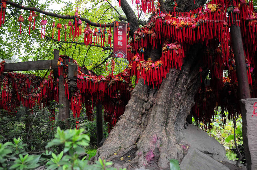 无人,横图,室外,白天,正面,旅游,度假,名胜古迹,植物,标志建筑,地标,建筑,中国,亚洲,许多,悬挂,节日,遗迹,屋顶,建筑群,顶棚,古迹,文化,文物,娱乐,建设,古建筑,树,树木,红色,绿色,自然,祈祷,享受,休闲,健康,旅游胜地,放松,许愿,宗教,信仰,四川省,生长,成长,纪念,祈求,香囊,古文明,东亚,四川,成都,成都市,中华人民共和国,省会,西南地区,许愿树,川,锦里,平安,彩图,shsgf1