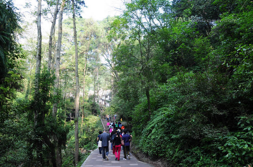东方人,走,横图,室外,白天,旅游,度假,草地,草坪,美景,山,树林,植物,道路,路,都江堰,青城山,中国,亚洲,游客,游人,阴影,光线,影子,阶梯,景观,山峰,小路,交通,山峦,许多人,黄种人,娱乐,旅客,台阶,草,树,树木,背面,绿色,天空,阳光,自然,天,一群人,享受,休闲,景色,放松,四川省,生长,成长,自然风光,东亚,四川,中华人民共和国,西南地区,川,都江堰风景区,都江堰市,男人,男性,年轻男性,年轻女性,女人,女性,亚洲人,步行,散步,走路,彩图,全身,shsgf1