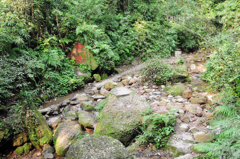 无人,横图,俯视,室外,白天,旅游,度假,草地,草坪,河流,石头,美景,山,树林,水,植物,都江堰,青城山,中国,亚洲,许多,散落,标志,石子,文字,河水,景观,山峰,水流,山峦,娱乐,标识,草,树,树木,红色,绿色,小溪,自然,石碑,溪水,享受,休闲,汉字,景色,放松,四川省,生长,成长,中文,自然风光,东亚,四川,中华人民共和国,西南地区,川,都江堰风景区,都江堰市,石块,岩石,彩图,高角度拍摄,shsgf1